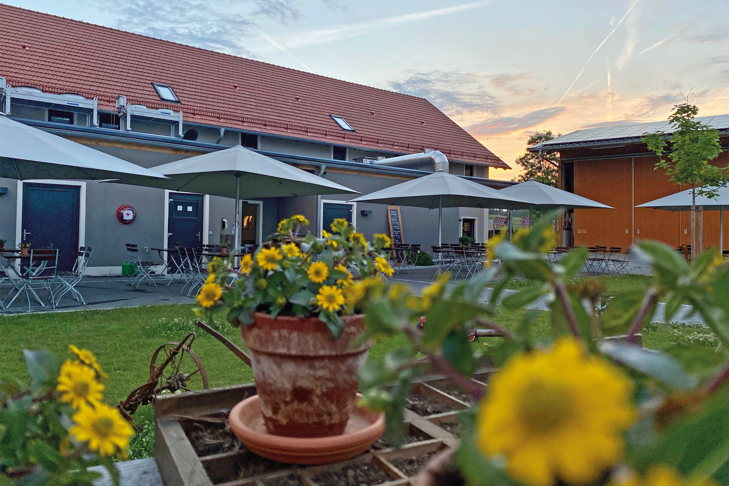 Hofgarten draußen Sommer